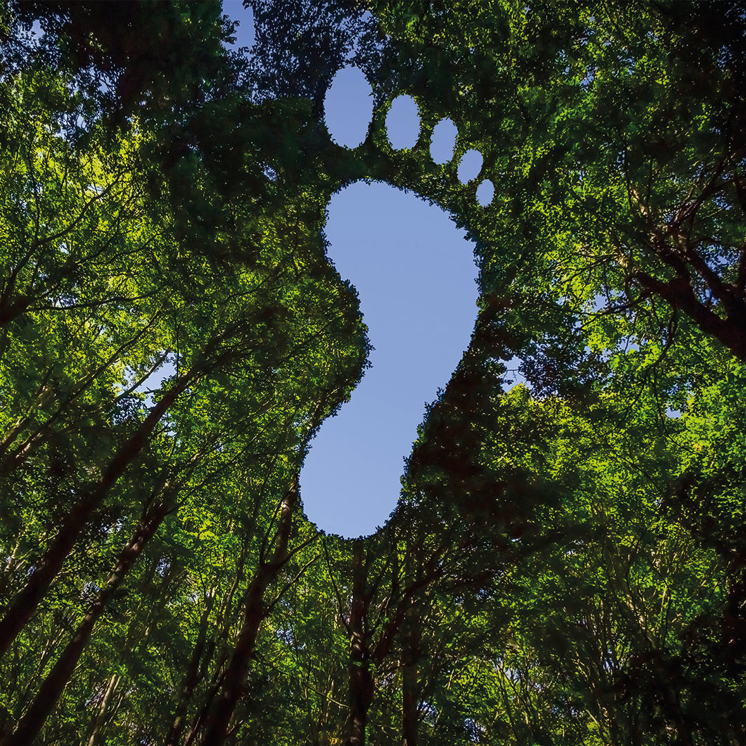 Karbon Ayak İzi Nedir ve Nasıl Azaltılır?