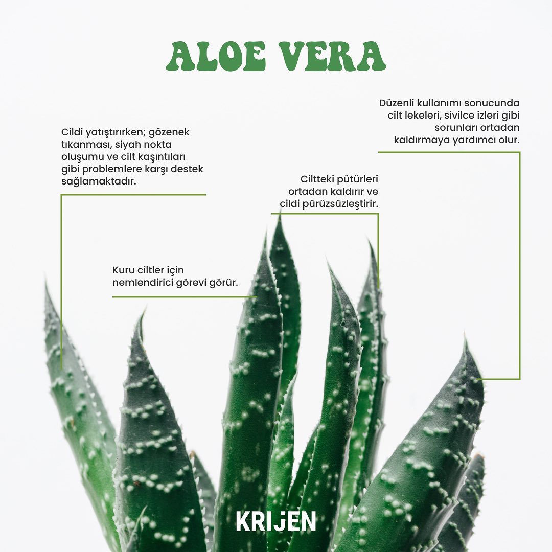 30+ SPF Güneş Koruyucu CICA Yüz ve Vücut Kremi | Çinko Minerali + Aloe Vera + Doğal Yağlar